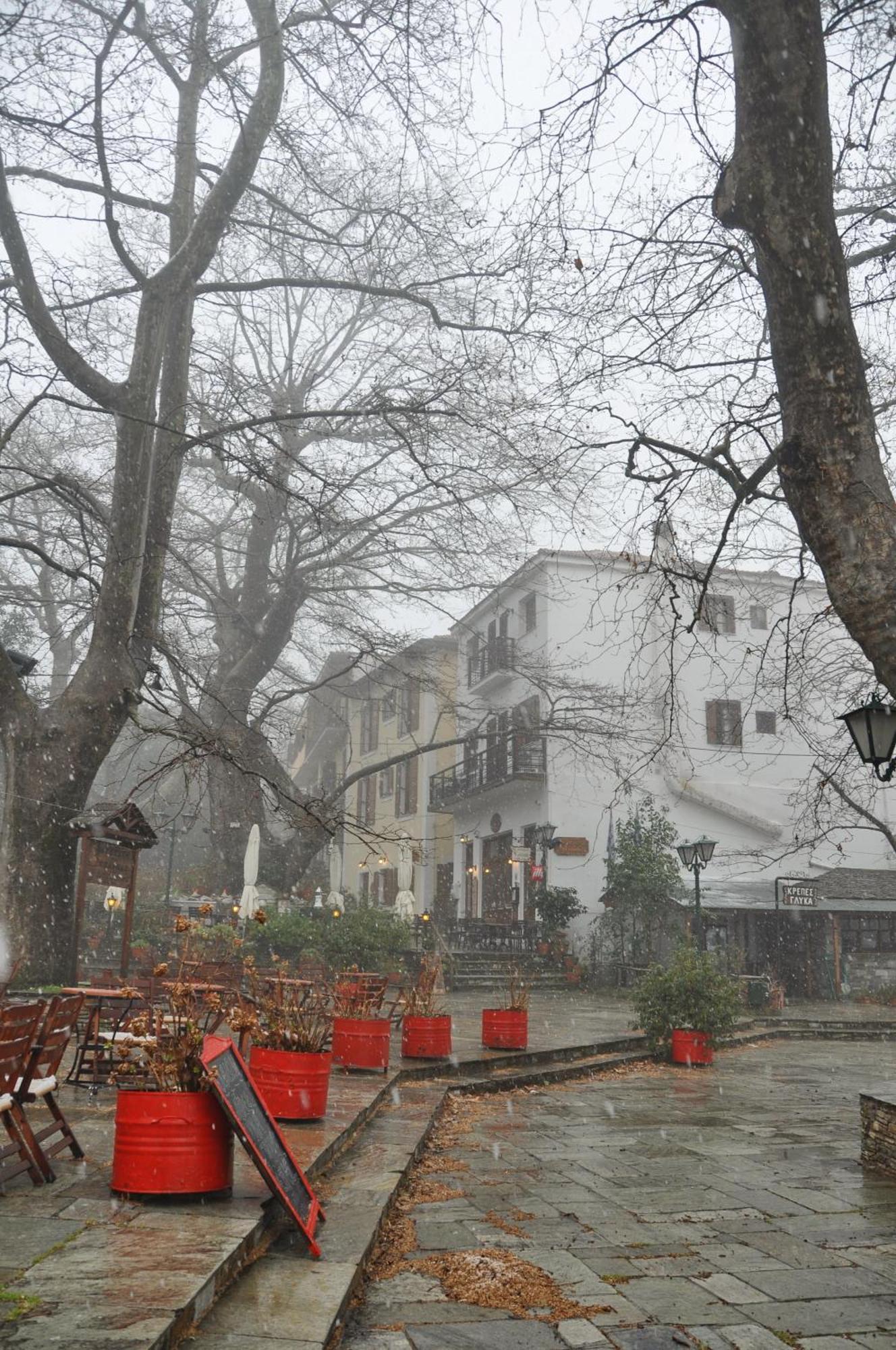 Pelias Hotel Portariá Zewnętrze zdjęcie