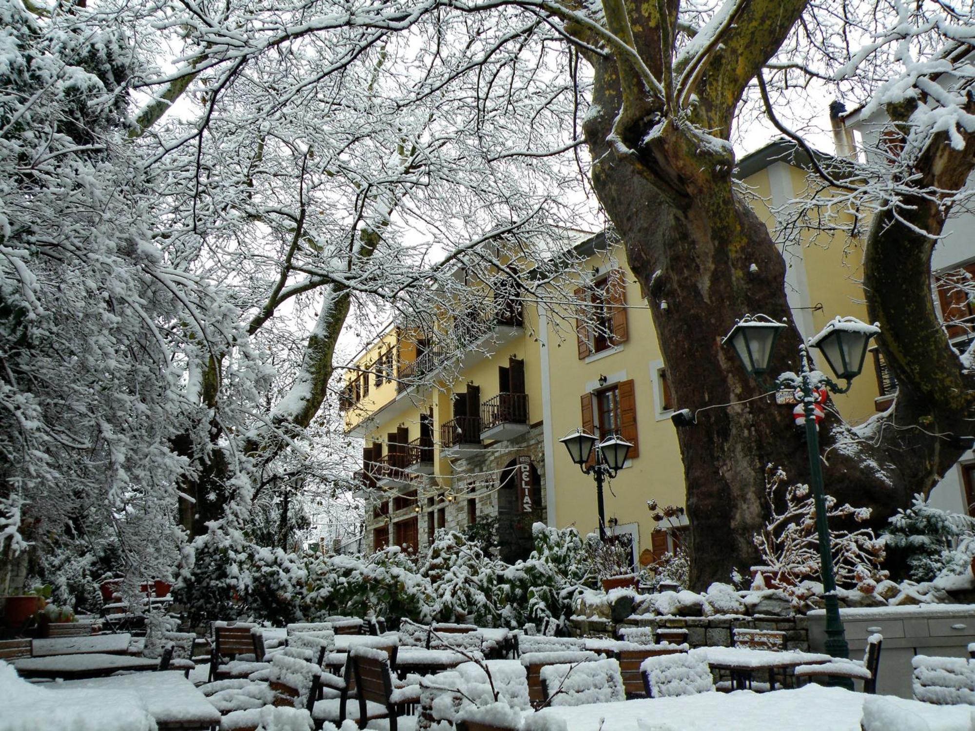 Pelias Hotel Portariá Zewnętrze zdjęcie